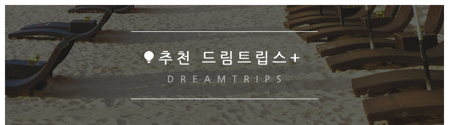 추천 드림트립스