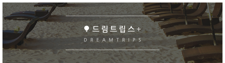 드림트립스